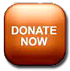DonateNowBtn
