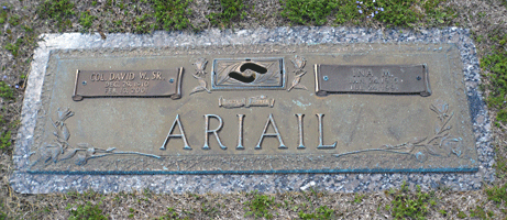 David W. Ariail 4